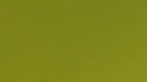 El europeo Rory McIlroy posa con el trofeo después de ganar el torneo de golf Ryder Cup contra Estados Unidos en el campo de golf Bethpage Black, el domingo 28 de septiembre de 2025, en Farmingdale, Nueva York.