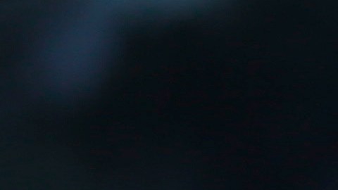Confirman que el sospechoso murió tras aparentemente haberse disparado.