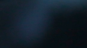 Confirman que el sospechoso murió tras aparentemente haberse disparado.