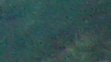 Playa alrededor del Hotel Caribe Hilton en San Juan, Puerto Rico