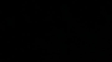 Independentistas en Puerto Rico reclaman la liberación de Oscar López