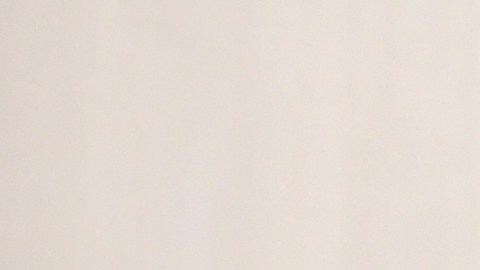 Patrick Schwarzenegger y Abby Champion se comprometieron en 2023.