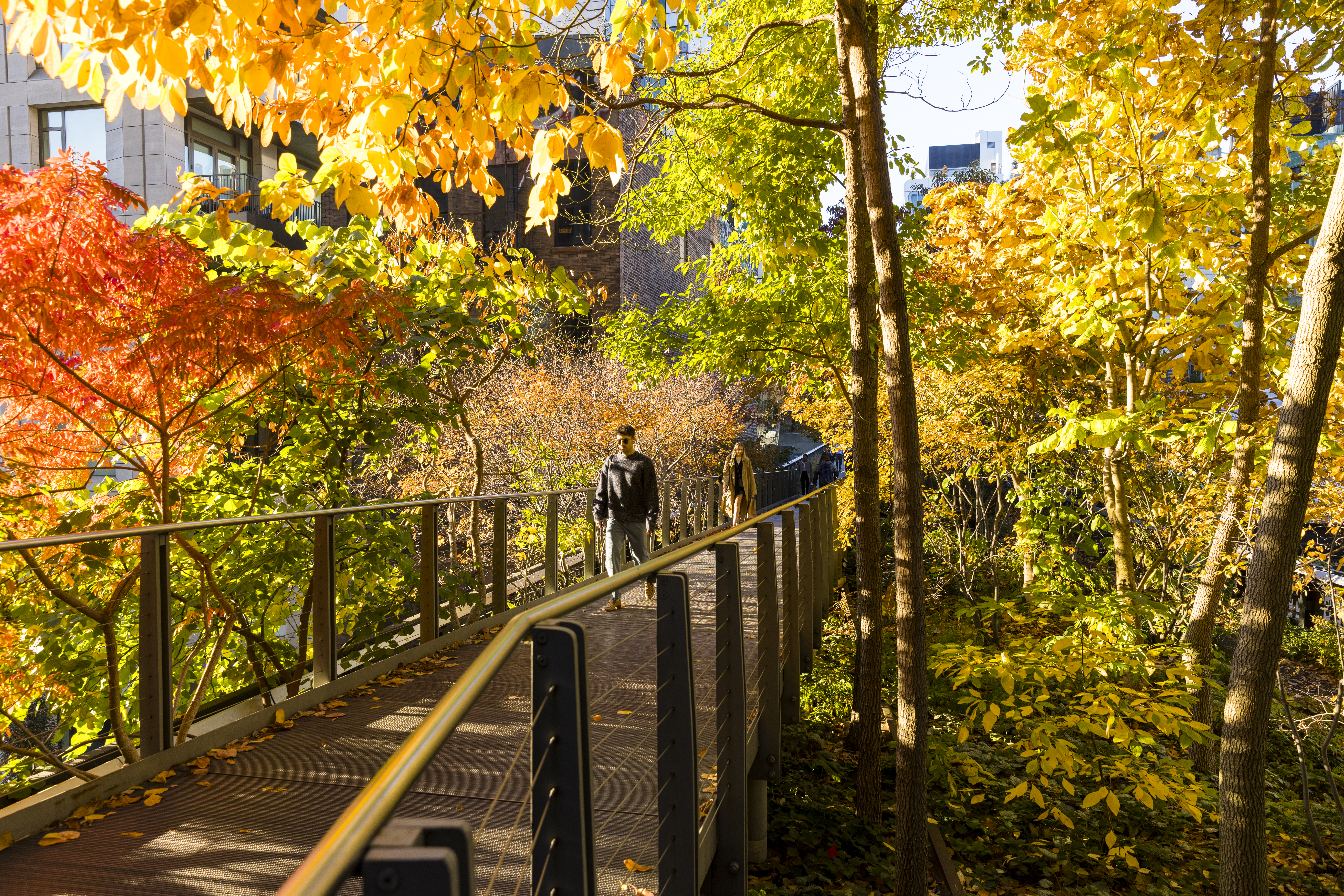 Agenda de eventos: qué hacer en Nueva York del 2 al 8 de octubre