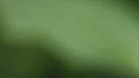 El agua de apio y naranja contiene compuestos bioactivos que ayudan a la pérdida de peso de forma natural.