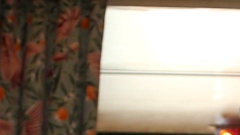 Alicia Machado, actriz venezolana.