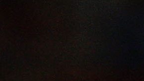 Anderson, exjugador del Manchester United.