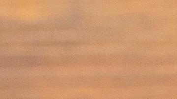 La arepa es la comida más popular venezolana en Estados Unidos.