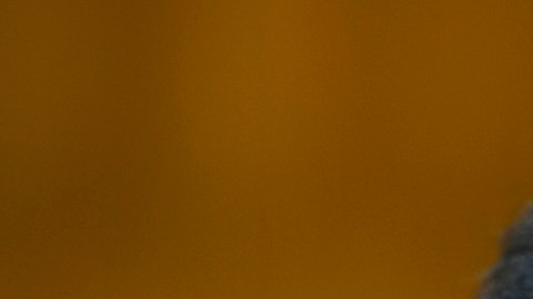 Arnold Schwarzenegger se enfrenta a Gavin Newsom por propuesta electoral en California