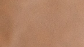 El BagelFest 2025 regresa a Citi Field en noviembre.