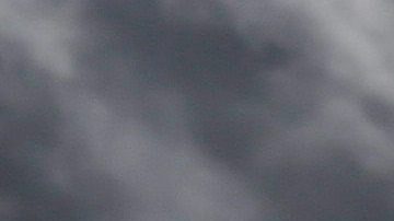 Entrenador de béisbol baleado en pleno juego infantil en Texas.