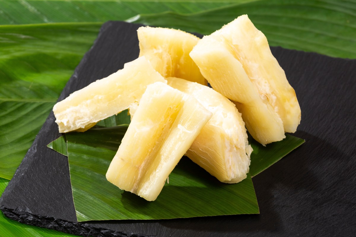 Yuca, el tubérculo que podría ser el mejor aliado contra el cáncer