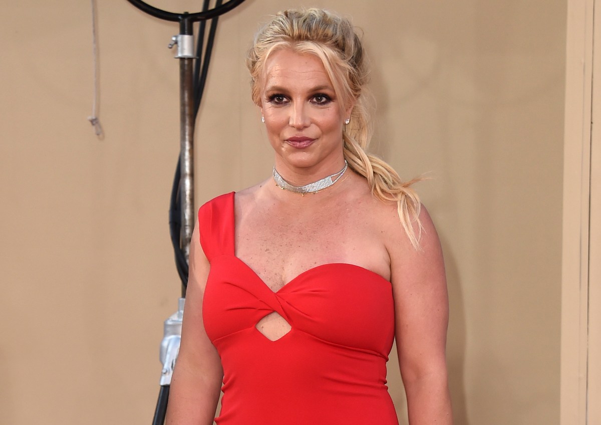 Britney Spears preocupa por vivir en una mansión desordenada y con excrementos de perro
