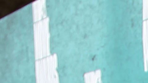 Brooke Hogan, hija de Hulk Hogan, es actriz y cantante, aunque su carrera no ha sido muy exitosa.