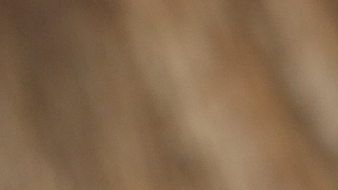 El chocolate elaborado con cacao al 70% tiene efecto regenerador de las células.