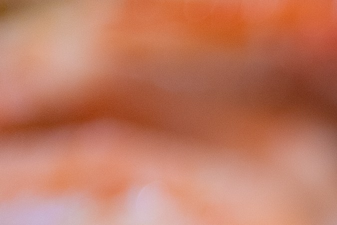 FDA terus memperbarui informasi mengenai penarikan massal udang beku karena risiko kontaminasi radioaktif.