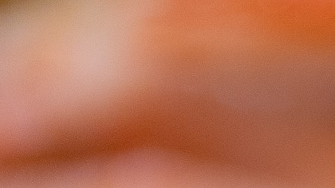 La FDA sigue actualizando la información sobre el retiro masivo de camarones congelados por riesgo de contaminación radiactiva.