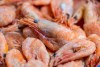 La FDA sigue actualizando la información sobre el retiro masivo de camarones congelados por riesgo de contaminación radiactiva.