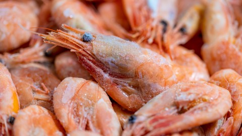La FDA sigue actualizando la información sobre el retiro masivo de camarones congelados por riesgo de contaminación radiactiva.