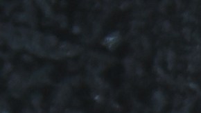 Las brochetas se vendieron en 10 estados del país.