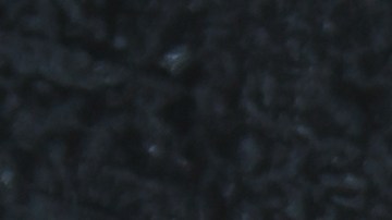 Las brochetas se vendieron en 10 estados del país.