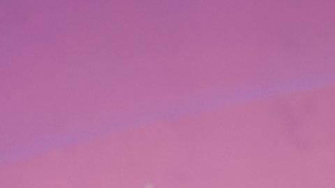 Caramelo, ganador de La Casa de los Famosos All-Stars.