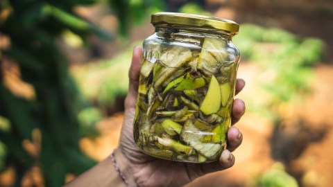 La combinación de las cáscaras de plátano y vinagre contribuye a una absorción acelerada de los nutrientes.