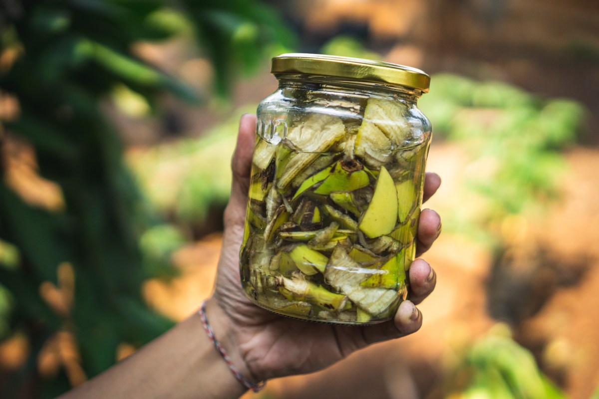 Cáscara de plátano y vinagre: ¿Por qué recomiendan esta mezcla y cuáles son sus beneficios?