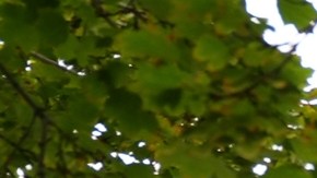 Trauma y miedo: así viven estudiantes tras el asesinato de Charlie Kirk en Utah