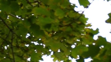 Trauma y miedo: así viven estudiantes tras el asesinato de Charlie Kirk en Utah