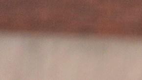 Gobernador de Utah afirma que motivo del asesinato de Charlie Kirk aún no está claro