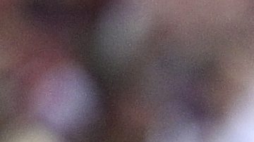 Imagen referencial porristas.