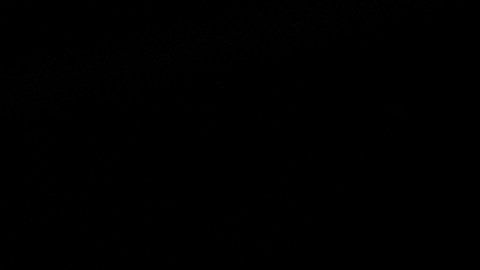 Dos personas fueron expuestas en la kiss cam de un concierto de Coldplay en julio.