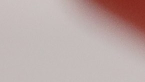 ¿Cuáles son las mejores opciones para almacenar los alimentos?