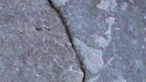 Los productos de corn dog y salchichas se vendieron en línea y se distribuyeron en todo el país.