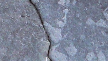 Los productos de corn dog y salchichas se vendieron en línea y se distribuyeron en todo el país.