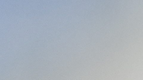 Dan Marino, asesor especial del vicepresidente, presidente y director ejecutivo de los Miami Dolphins.