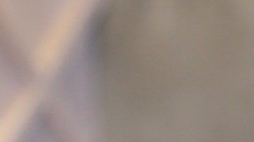 Dayanara Torres causó furor con su pasarela, junto a Clarissa Molina, en El Gordo y la Flaca.