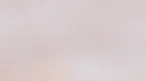 El queso fue distribuido en cuatro estados del país, incluyendo Nueva Jersey.