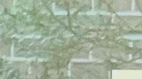 Dianne Morales, nueva directora de El Puente de Williamsburg