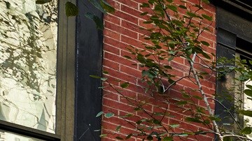 El precio de los alquileres en las zonas más exclusivas de NY también se ha disparado después de la pandemia.