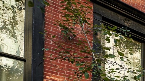 El precio de los alquileres en las zonas más exclusivas de NY también se ha disparado después de la pandemia.