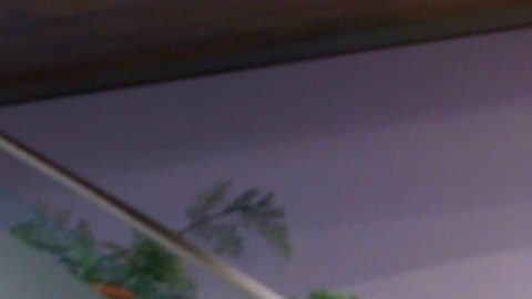 Elizabeth Gutiérrez.