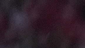 La selección española posa para una foto grupal.