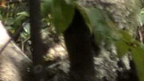 Florinda Meza defendió la relación que tuvo con Roberto Gómez Bolaños.