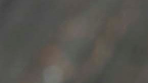 Los bagres fueron distribuidos en tres estados del país.