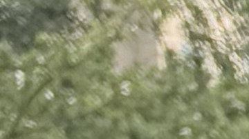 Una tragedia personal de dimensiones colosales fue el impulso de este nuevo uniformado para servir a la ciudad Nueva York.