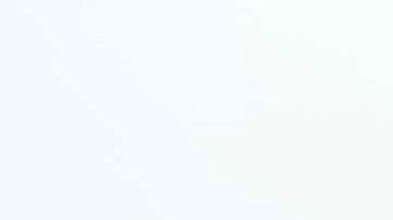 El piloto británico Lewis Hamilton, de Mercedes, saluda a los aficionados al llegar al circuito de Silverstone con su perro Roscoe.