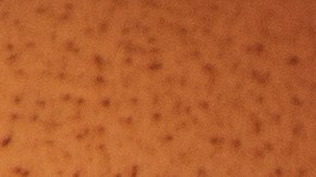 El huevo es una proteína completa, saciante y con multiples beneficios para la salud.