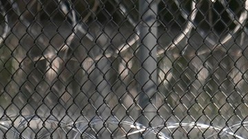 La Casa Blanca asegura que ICE no detiene a migrantes por su apariencia física