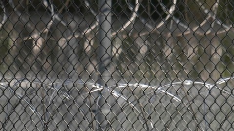 La Casa Blanca asegura que ICE no detiene a migrantes por su apariencia física